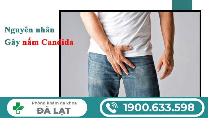 Hình ảnh minh họa